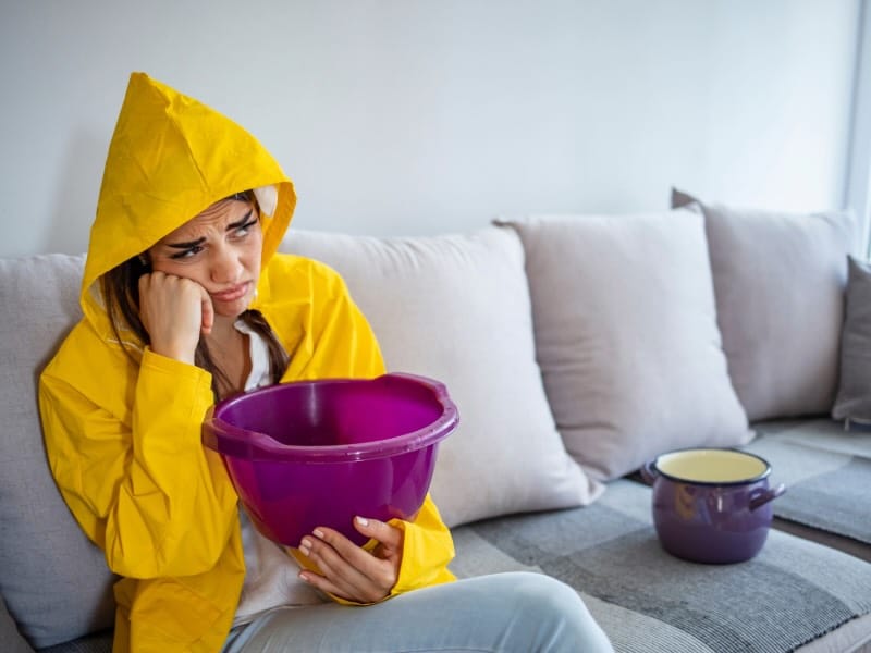 The Roof Factory project