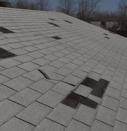 Big Lick Roofing project