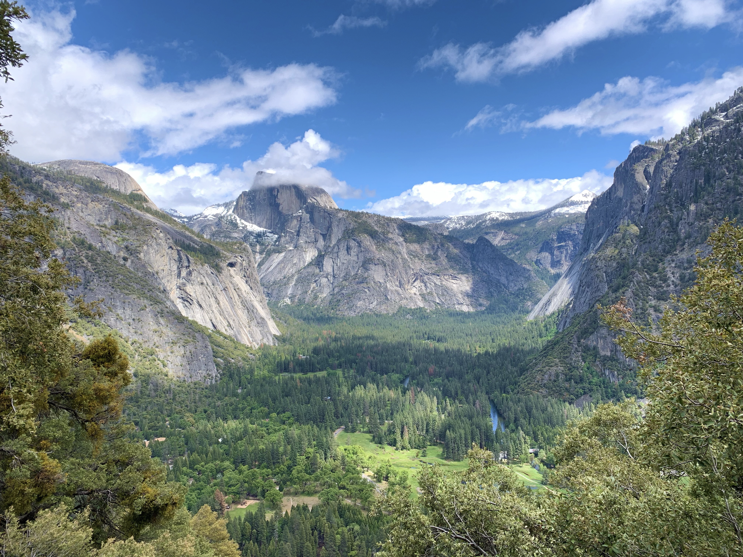 True Roof Inc. project