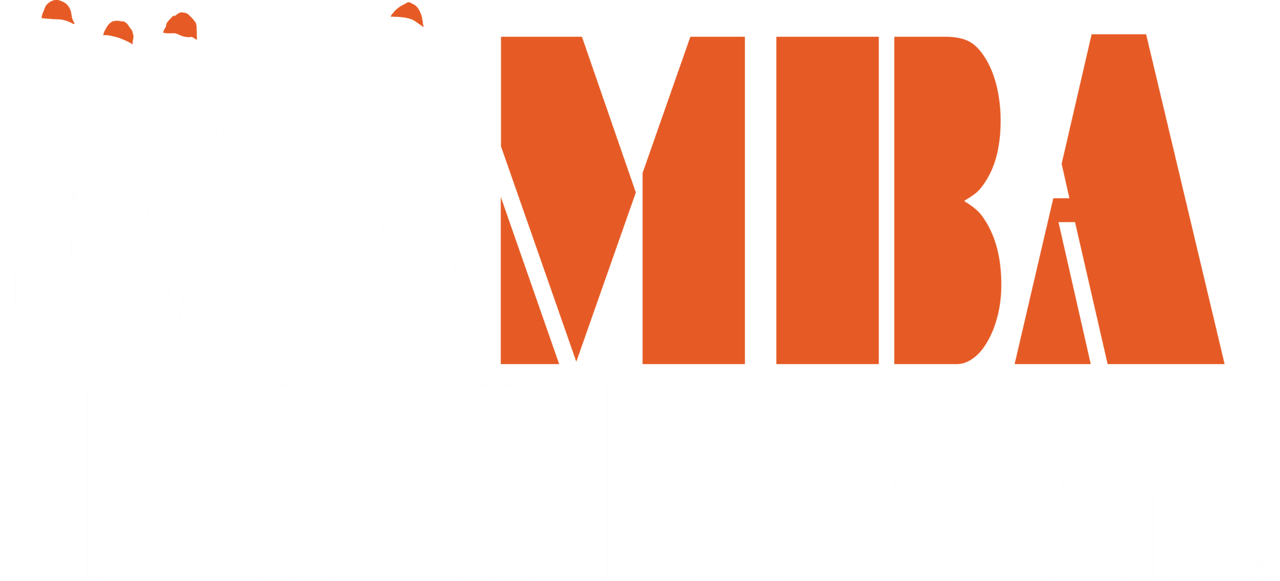 MBA Roofing of Lincolnton project