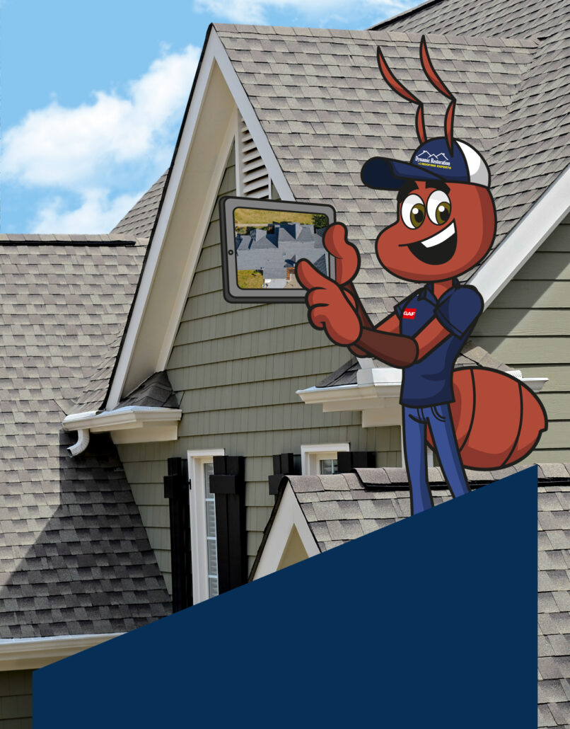 Dynamic Restoration project