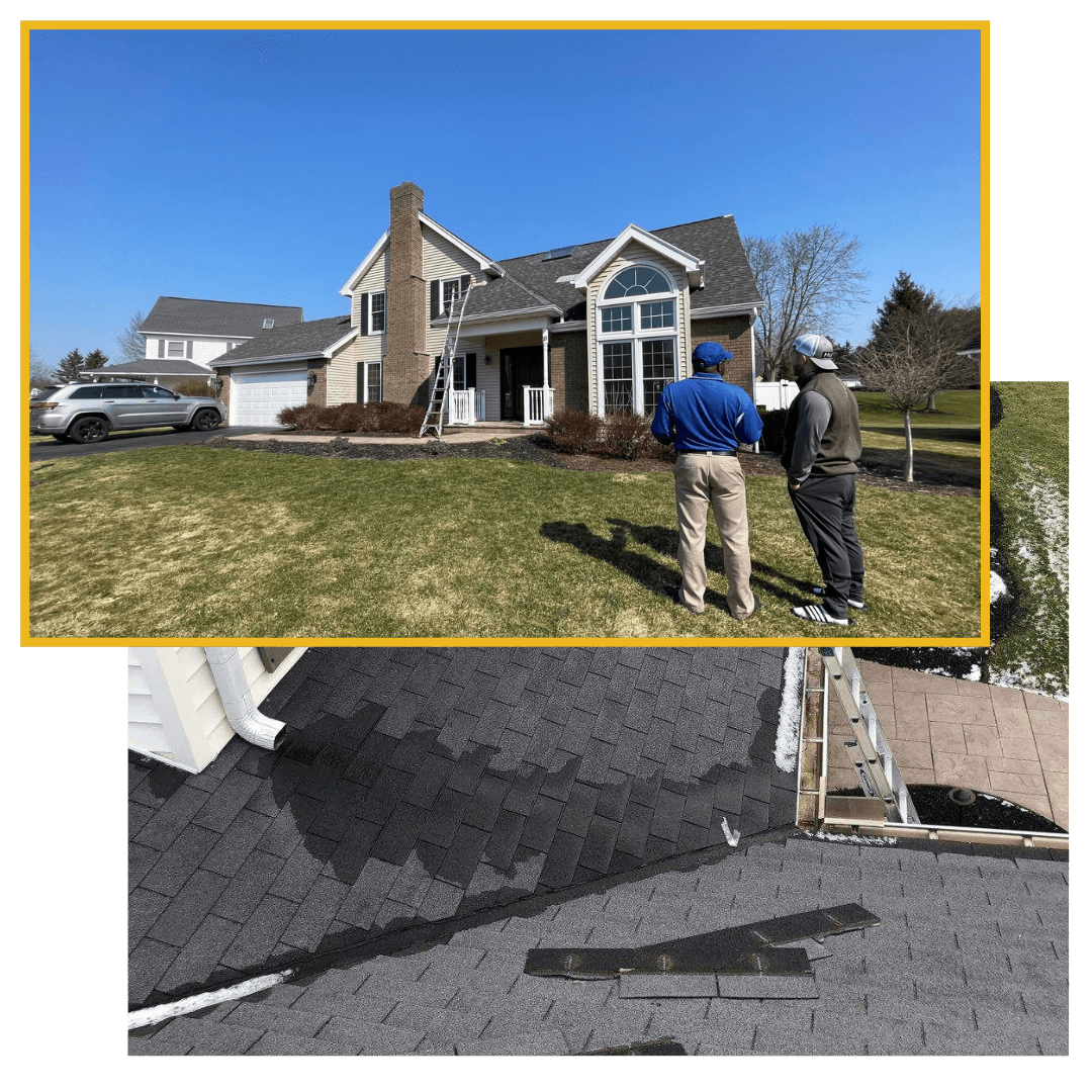 The Roof Rangers project