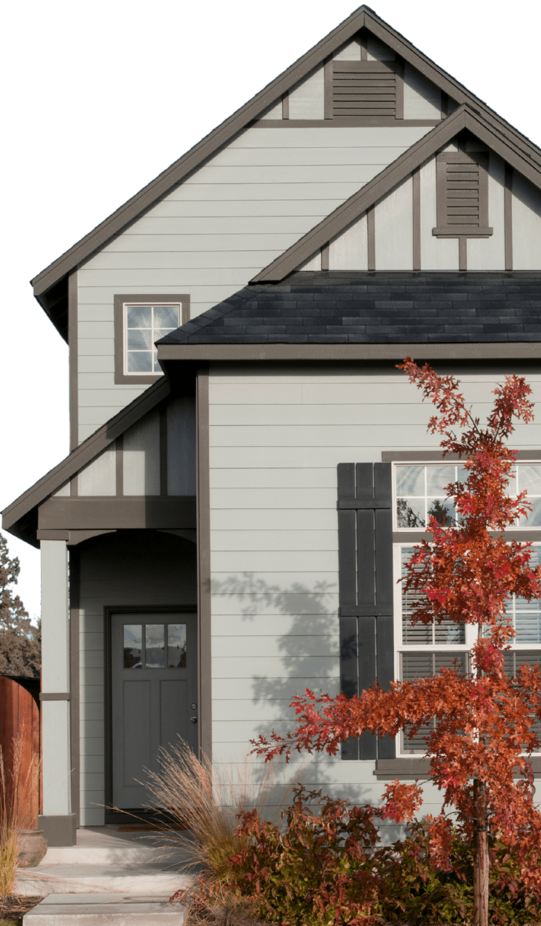 True Force Roofing project