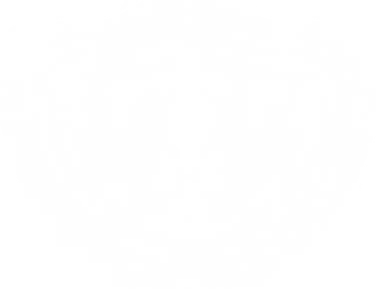 Empire Roofing and Exteriors project