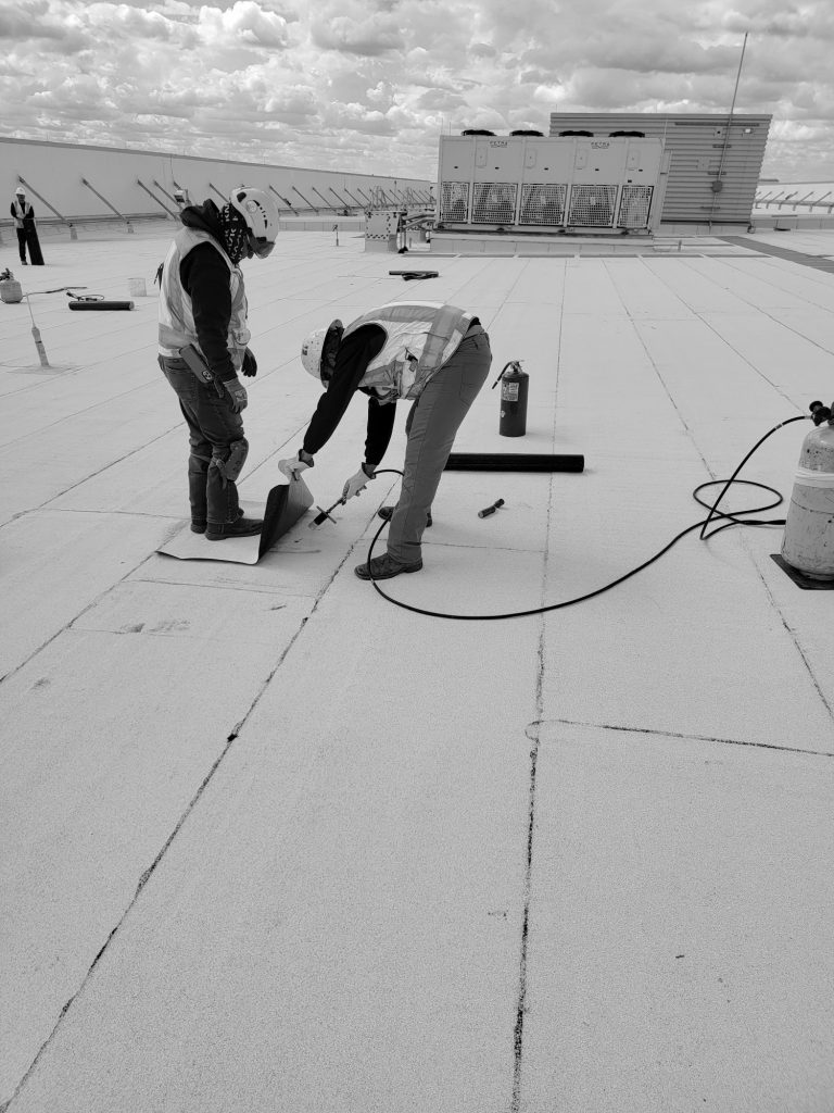 Porter Roofing Contractors project