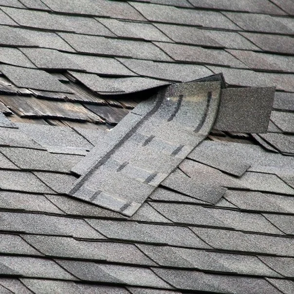 DECARNEY ROOFING LLC project