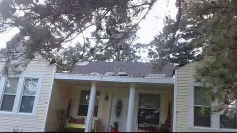 Gunn's Roofing And Mobile Home Repairs LLC project