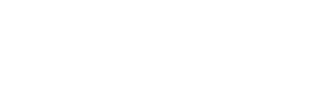 Professional Construction Services project