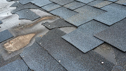 Watchdog Roofing project