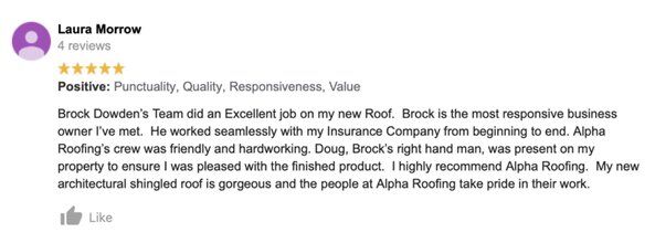 Alpha Roofing, LLC project