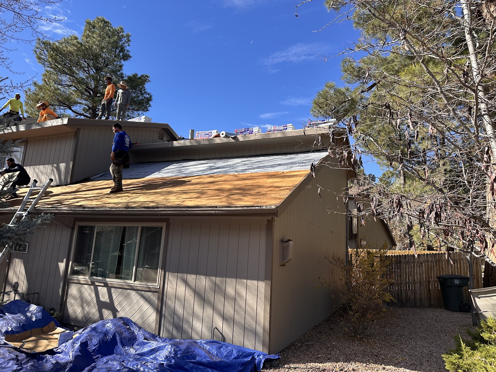 Forest Eaves Roofing project