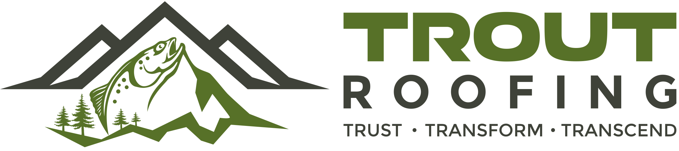 Trout Roofing project