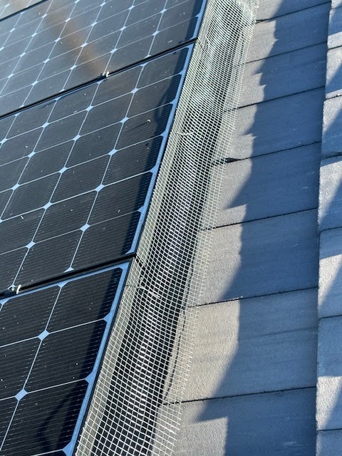 Belanger Exteriors LLC project