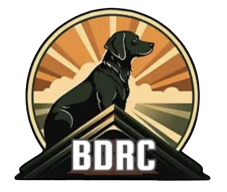 Bird Dog Roofing & Construction project