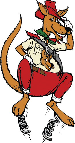 Krumm Exteriors project