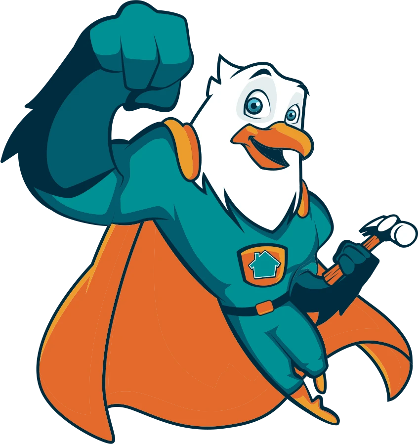 Super Eagle Roofing project