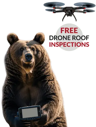 Big Bear Roofing project