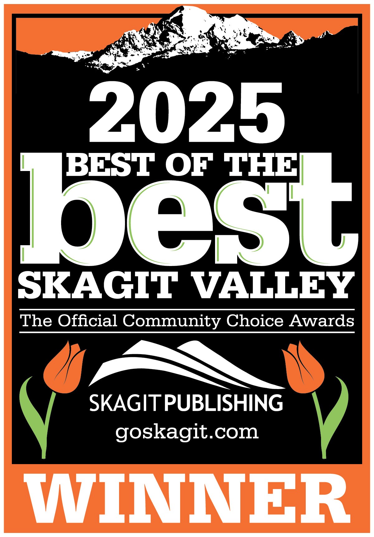 Skagit Roofing LLC project