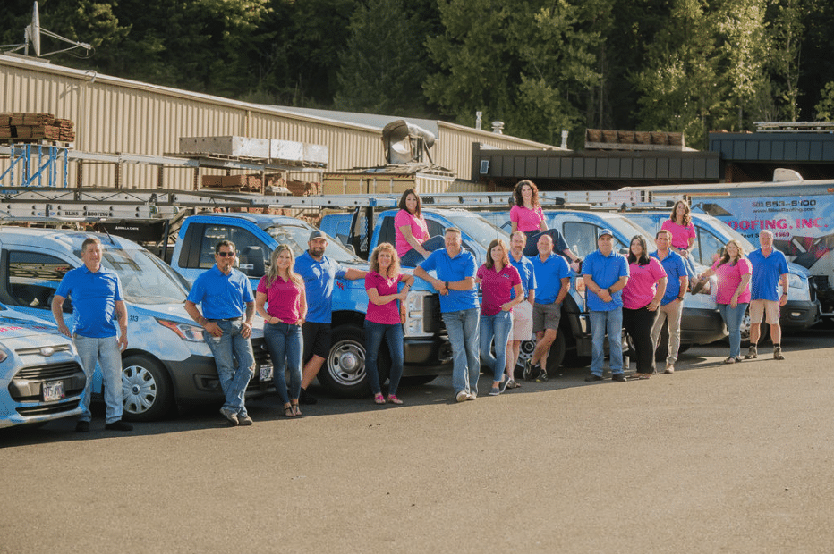 Bliss Roofing project