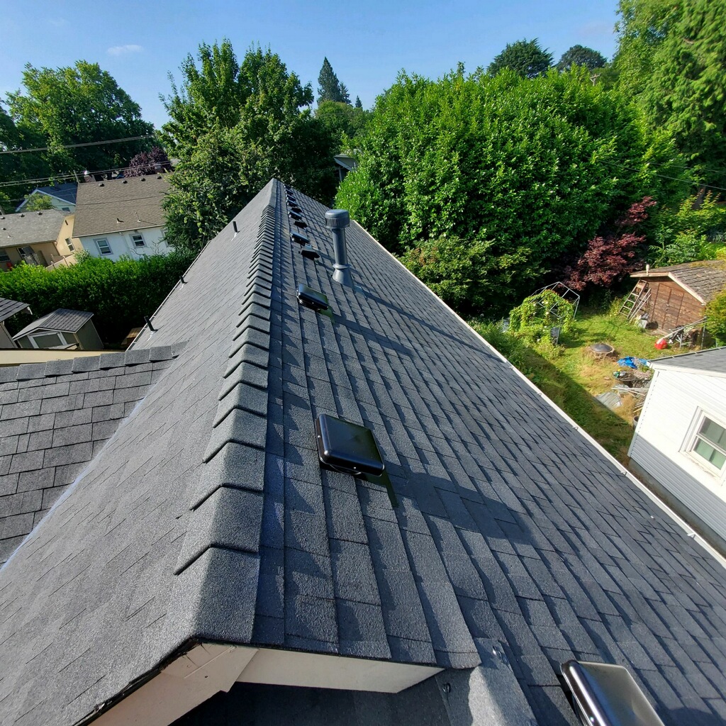 Elevated Roofing project