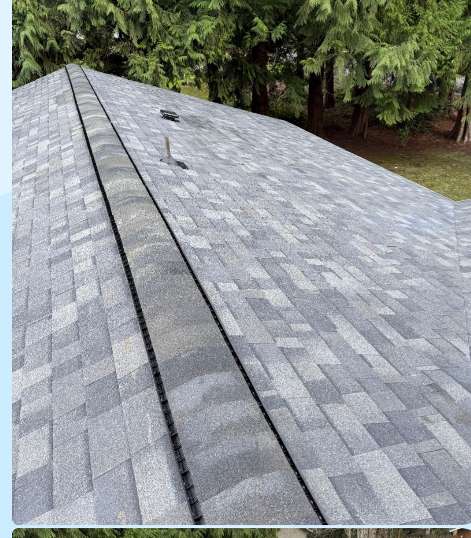 New Life Roofing LLC project