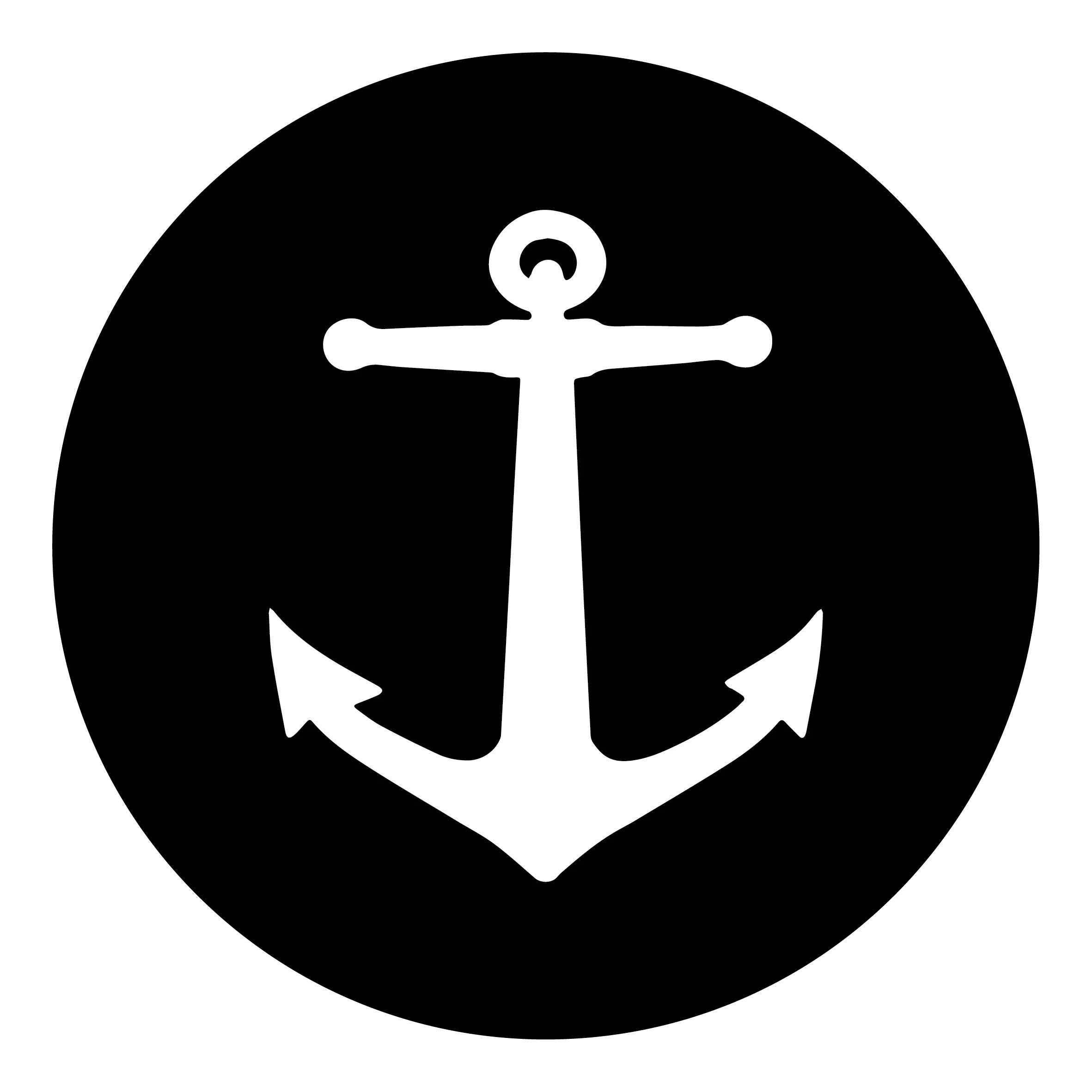 Anchor Roofing LLC project